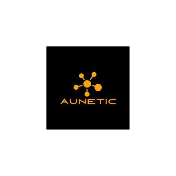 Aunetic | Internal Auditing and Compliance