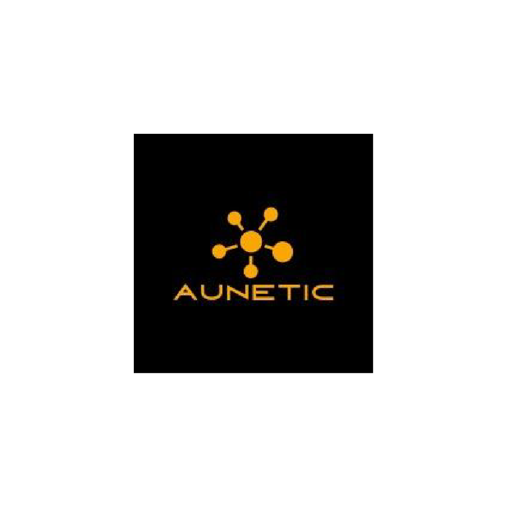 Aunetic | Internal Auditing and Compliance